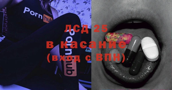 хмурый Аркадак