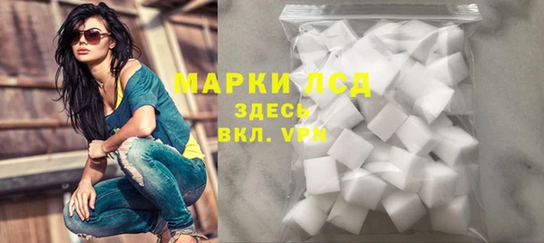 хмурый Аркадак