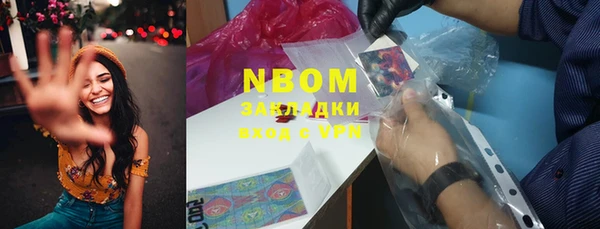 хмурый Аркадак