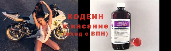 хмурый Аркадак