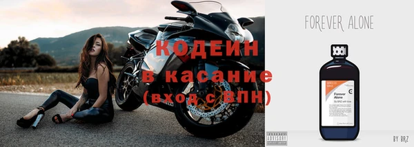 хмурый Аркадак