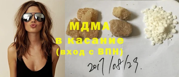 хмурый Аркадак