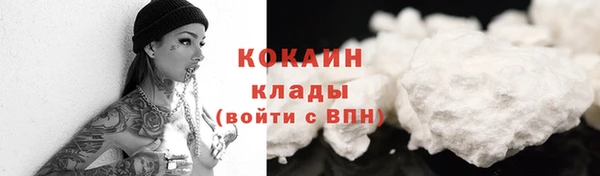 хмурый Аркадак