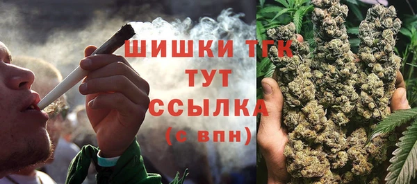 хмурый Аркадак