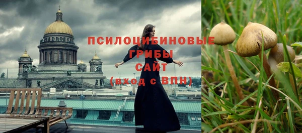 мескалин Арсеньев
