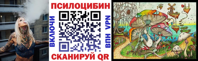 Галлюциногенные грибы Psilocybine cubensis  площадка формула  Судак 